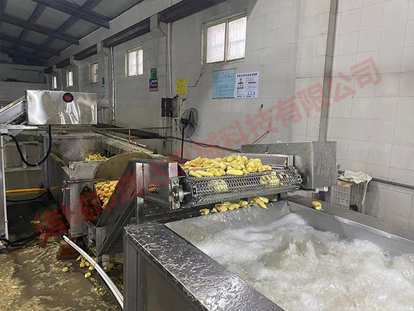 大姜加工流水線設備 大姜加工流水線設備